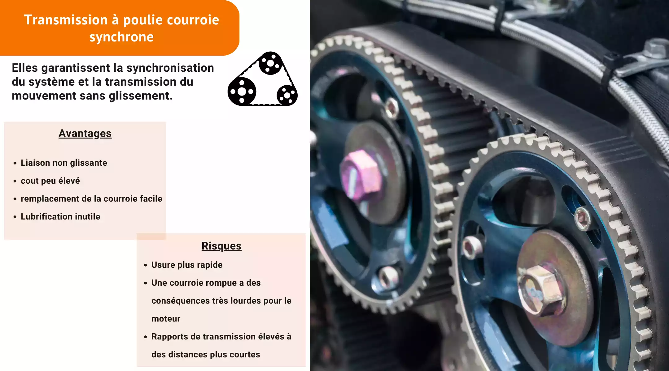Transmission à courroie synchrone