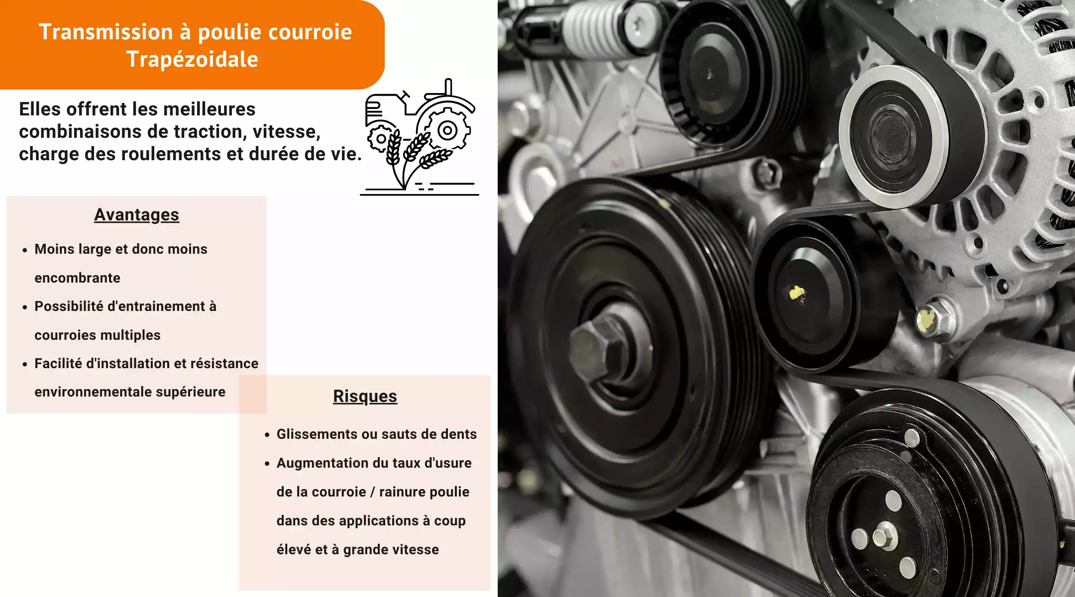 Transmission à courroie trapézoidale